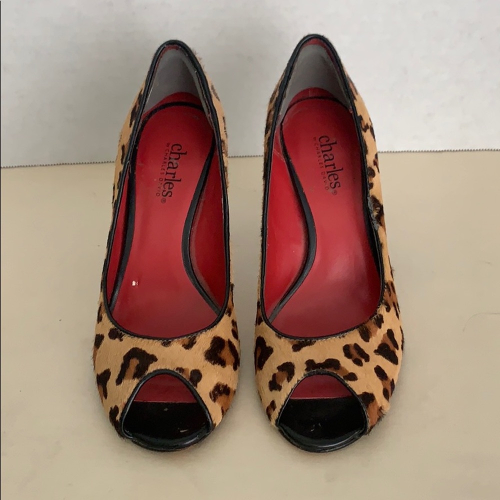 Charles by Charles David Heels